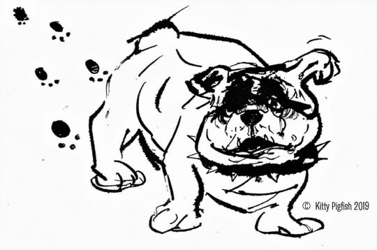 Muddy Paws The Bulldog Cartoon by Kitty Pigfish - Pigfish